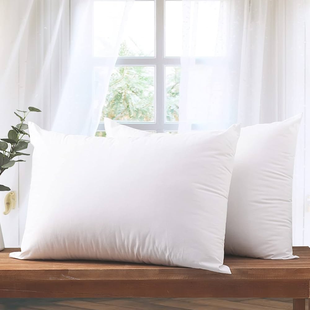 2 PCs Filled Pillow 900 Grams-White