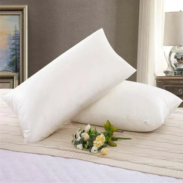2 PCs Filled Pillow 900 Grams-White